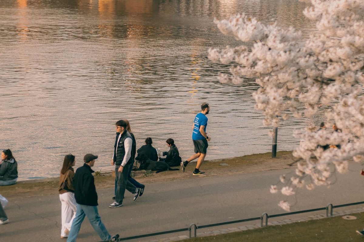 Mennesker som går og hviler ved en elv med blomstrende trær