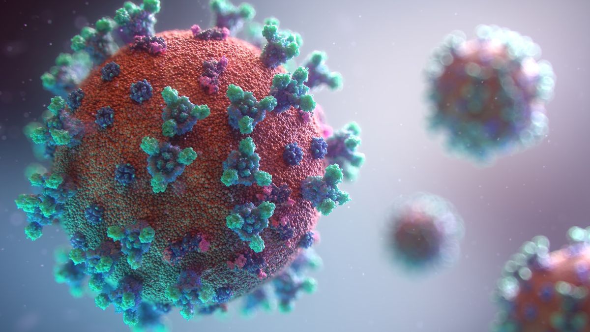 Virus og celler sett i mikroskop