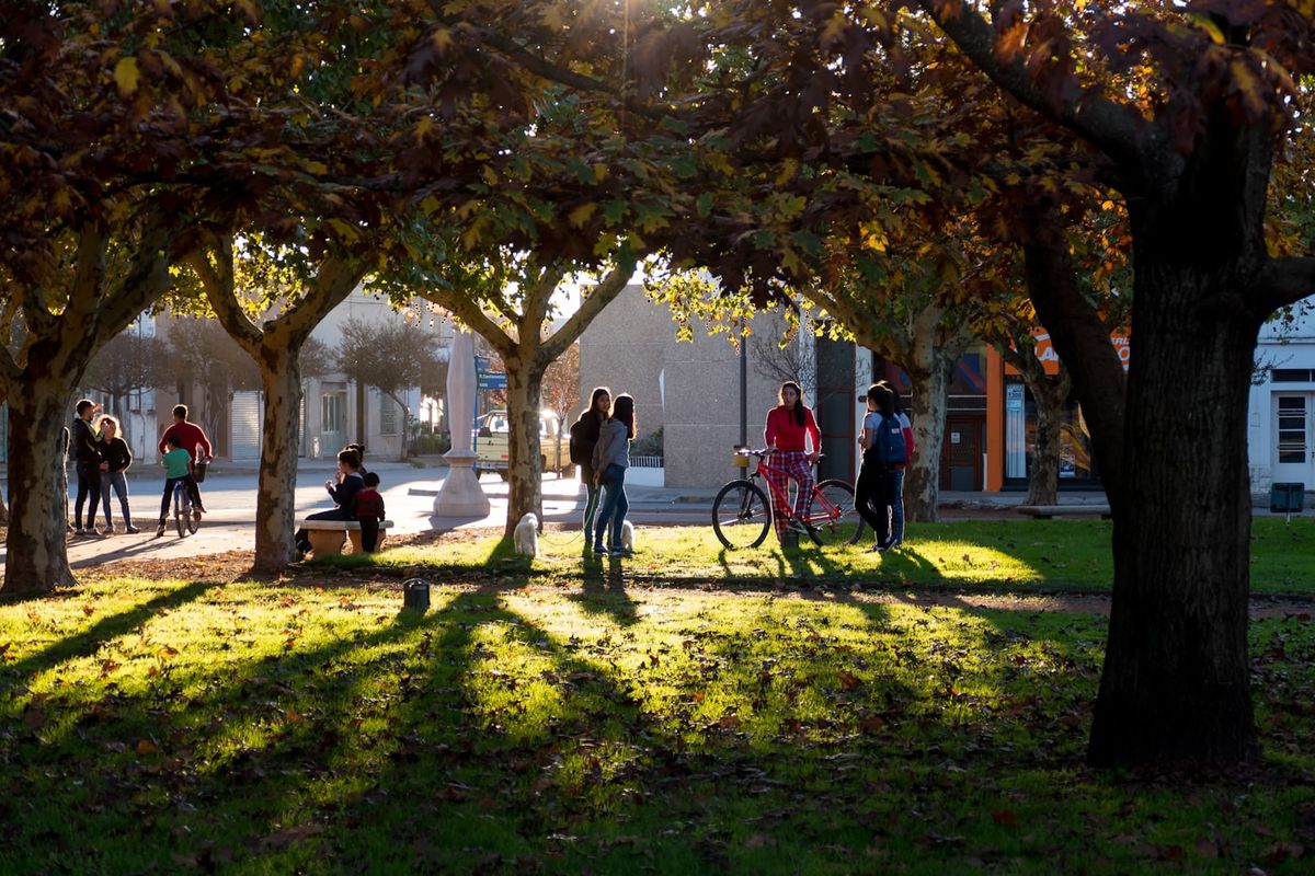 Studenter paa campus om hosten